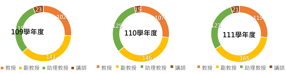 師資結構之現況